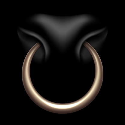 A bull s nose with a metal nose ring. 3D realistic illustration. Vector.