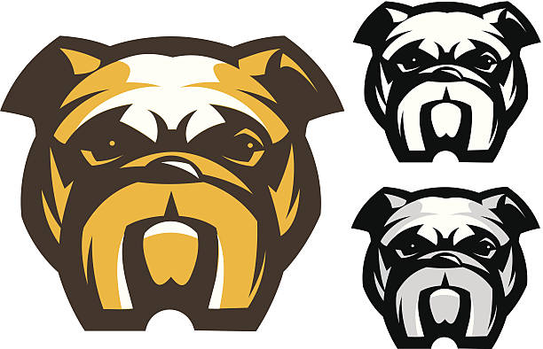 stockillustraties, clipart, cartoons en iconen met bulldog dog's head - bulldog