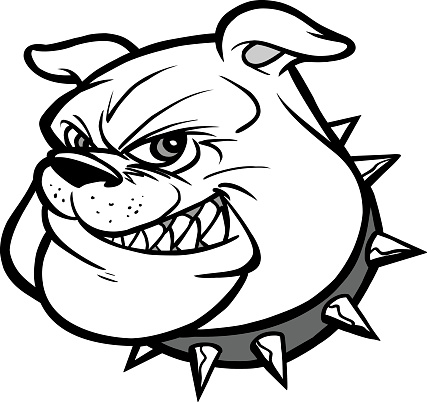 Bulldog Mascot Head Illustration