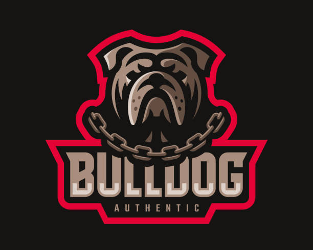 stockillustraties, clipart, cartoons en iconen met bulldog modern logo. hond ontwerp embleem sjabloon voor een sport-en esport-team. - bulldog