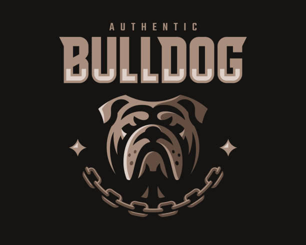 stockillustraties, clipart, cartoons en iconen met bulldog moderne mascotte logo. hond embleemontwerp bewerkbaar voor uw bedrijf. vector illustratie. - bulldog