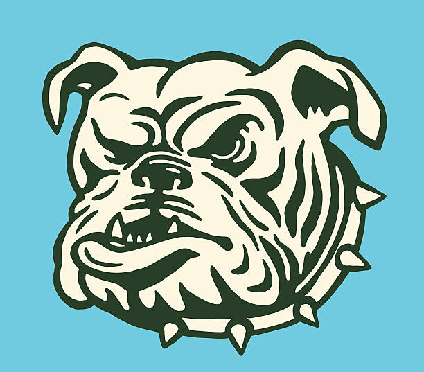 bildbanksillustrationer, clip art samt tecknat material och ikoner med bulldog with spiked collar - bulldog