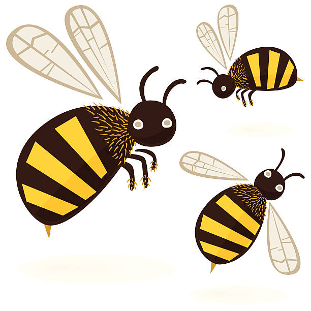 Bumble-bees - icon set vector art illustration