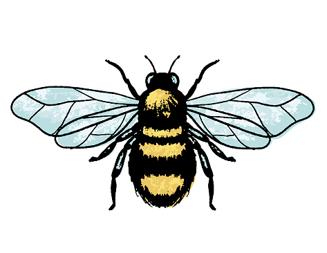 Bumblee Bee