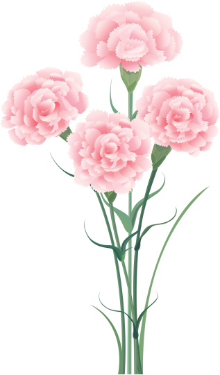 bunch of carnations