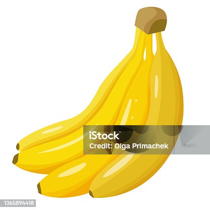 istock A bunch of ripe bananas. Vector 1365894418