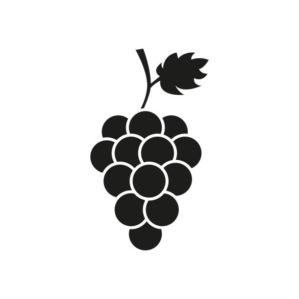 Bunch of wine grapes with leaf Vector illustration grape stock illustrations