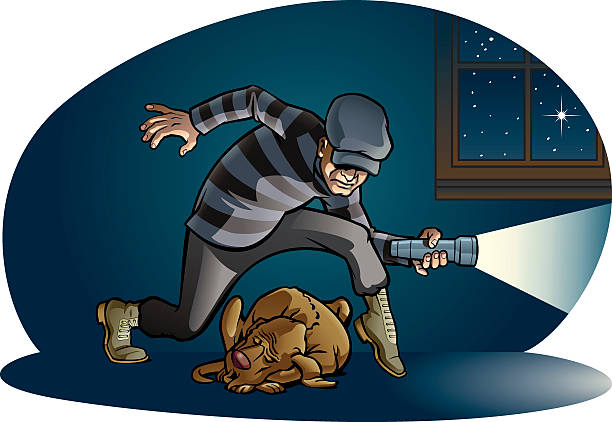 Burglary This burglar quietly steps over the family dog as he sneaks through the house. Elements grouped on separate layers. guard dog stock illustrations