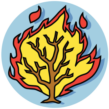 burning bush icon