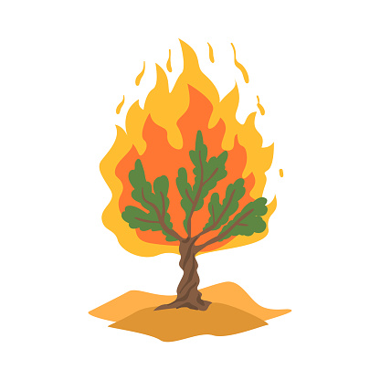Burning Bush not Consuming by Flames as Narrative from Bible Vector Illustration