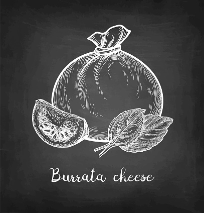 Burrata cheese chalk sketch.