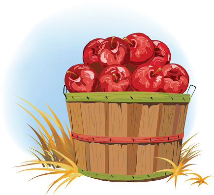 Bushel Of Apples Stock Illustration - Download Image Now - iStock