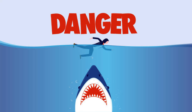 Business person in danger - Businesswoman swimming in ocean with big shark threat underneath Risking life, risky business and challenge concept. Vector illustration. shark stock illustrations