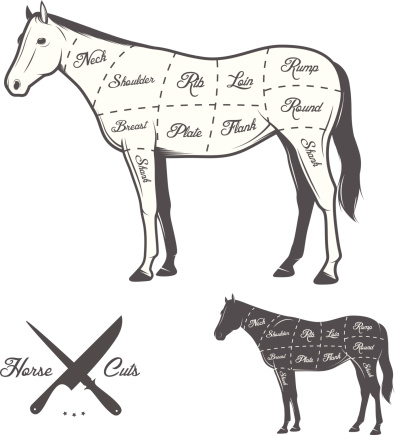 Butchers cuts of horse diagram