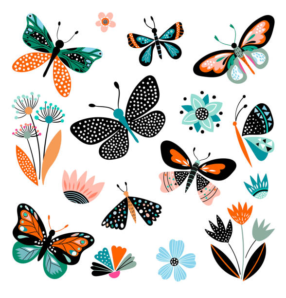 Butterflies and flowers, hand drawn collection Butterflies and flowers, hand drawn collection of different elements, isolated on white butterfly insect illustrations stock illustrations