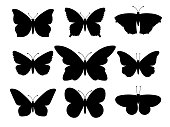 Butterflies silhouettes. Vector spring butterfly silhouette collection isolated on white background