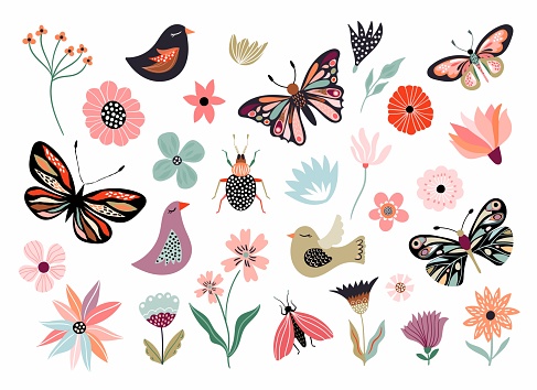 Butterflies, flowers and birds hand drawn collection