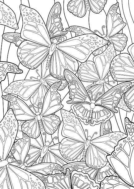Butterflies Adult Coloring book. butterfly coloring stock illustrations