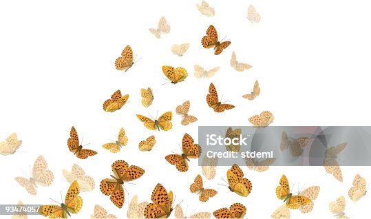 istock Butterflies 93474057