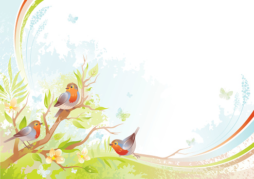 Butterfly and birds background with copyspace: robins