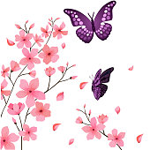 Butterfly And Sakura Flower Background Vector Image