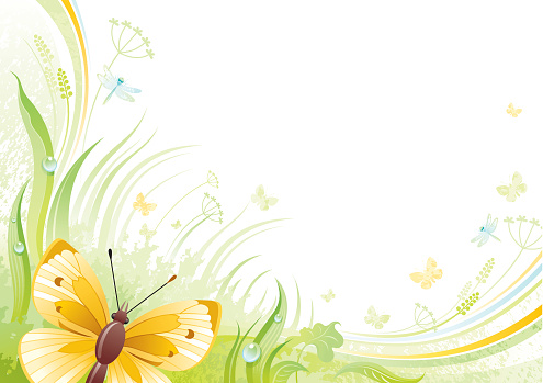 Butterfly background with copyspace