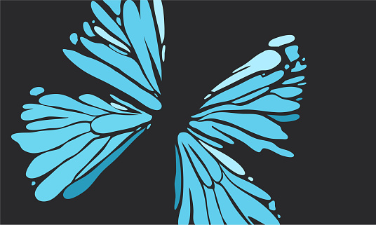 Butterfly color style vector with black background