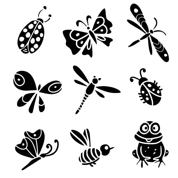 Butterfly, dragonfly, bee, ladybug, frog Butterfly, dragonfly, bee, ladybug, frog. Hand drawn black silhouette isolated on white background set frog clipart black and white stock illustrations