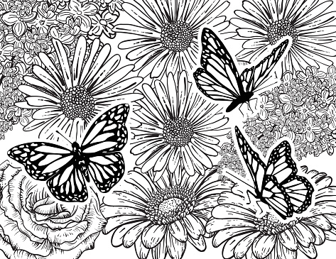 Butterfly Hand Drawn Adult Coloring Book Page