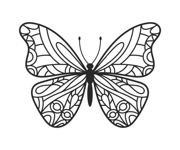 Butterfly hand drawn doodle Butterfly hand drawn doodle. Adult coloring page. Linear art. Tattoo design. Vector illustration butterfly coloring stock illustrations