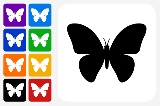 Butterfly Icon Square Button Set. The icon is in black on a white square with rounded corners. The are eight alternative button options on the left in purple, blue, navy, green, orange, yellow, black and red colors. The icon is in white against these vibrant backgrounds. The illustration is flat and will work well both online and in print.