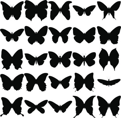 Butterfly Silhouette Collection
