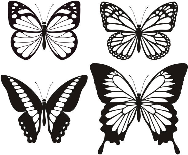ilustraciones, imágenes clip art, dibujos animados e iconos de stock de conjunto de iconos de silueta de la mariposa. - mariposa monarca