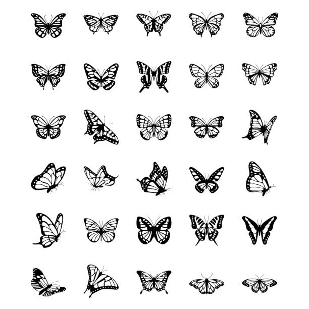 ilustraciones, imágenes clip art, dibujos animados e iconos de stock de mariposa vector sólido conjunto de iconos - mariposa monarca