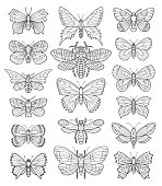 Butterfly vector doodle set.