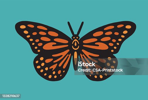 istock Butterfly 1328210637