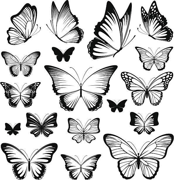 бабочка векторные силуэты - detailed butterfly tattoos silhouette stock ill...