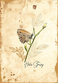 Butterfly Wildflower Springtime In Stipple Effect. Original artwork illustration on yellowish old-paper background with typography.
This inspirational design can be used for a postcard, invitation, web banner, shop window, poster or flyer.