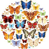 Butterflies icon set in circle.  EPS-10 (no transparent elements),