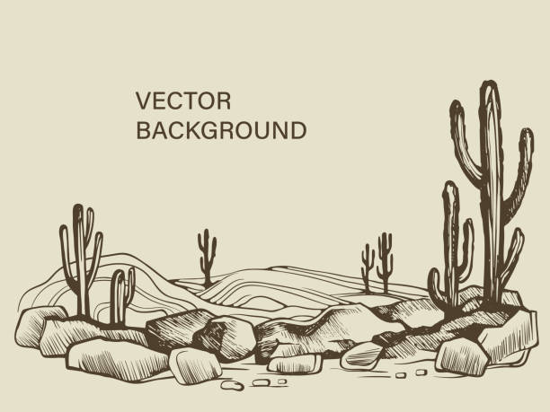 Cacti in the Arizona desert sketch Cacti in the Arizona. Hand drawn vector sketch of the desert of South America prairie landscape. desert stock illustrations