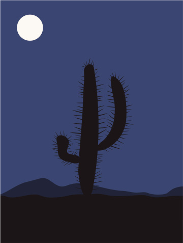 Cactus at Night