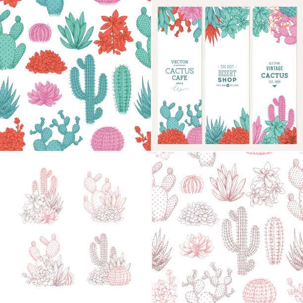 Cactus fun design kit. Sketchy style illustration. Banners, compositions, pattern. Succulent collection. Vector illustration Cactus fun design kit. Sketchy style illustration. Banners, compositions, pattern. Succulent collection. cactus backgrounds stock illustrations