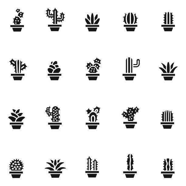 Cactus icons Cactus icons cactus icons stock illustrations