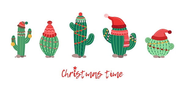 Cactus in winter hat. Christmas decorations, cacti with garlands. Xmas and new year vector banner template. Green cactus in winter hat illustration to christmas
