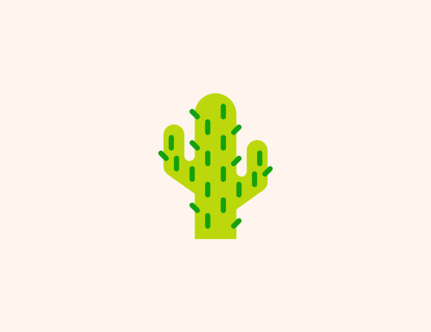 Cactus vector icon. Isolated Desert Cactus flat colored symbol - Vector Cactus vector icon. Isolated Desert Cactus flat colored symbol - Vector cactus icons stock illustrations