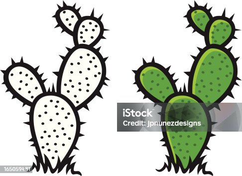 istock cactus 165059481