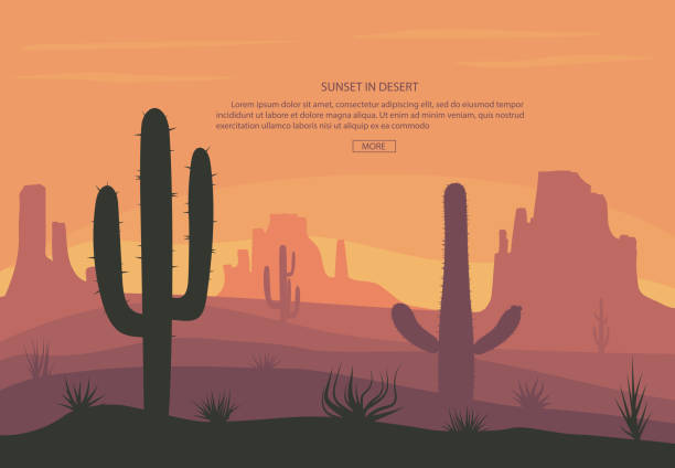 Cactuse and mountains in desert landscape, sunset in cannon, Background scene with stones and sand Cactuse and mountains in desert landscape, sunset in cannon, Background scene with stones and sand. Flat cartoon vector illustration desert area silhouettes stock illustrations