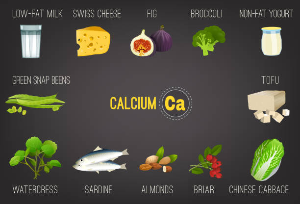 Calcium in Food Calcium vector illustration. Foods containing calcium on a dark grey background. Source of Ca: nuts, green beans, vegetables, fish, dairy products. Medical, healthcare and dietary creative concept. runner bean stock illustrations