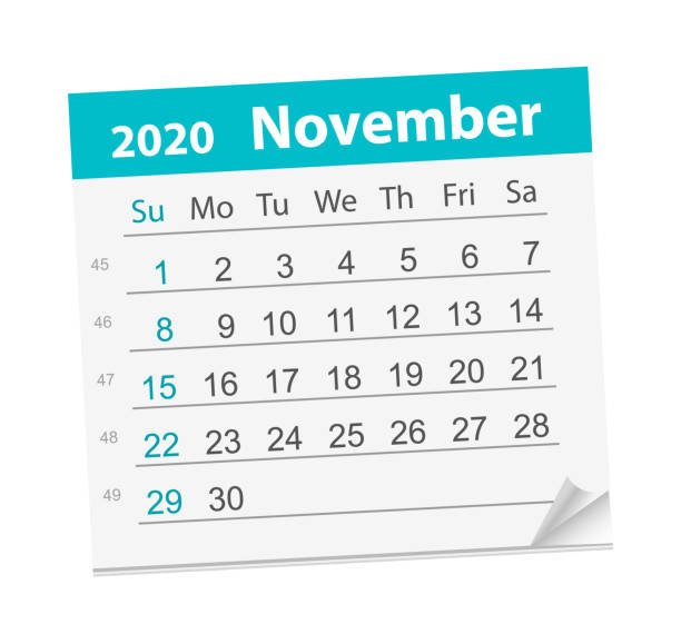 Calendar sheet for the month of November 2020 Calendar sheet for the month of November 2020. Vector Illustration. The week starts on Sunday november stock illustrations