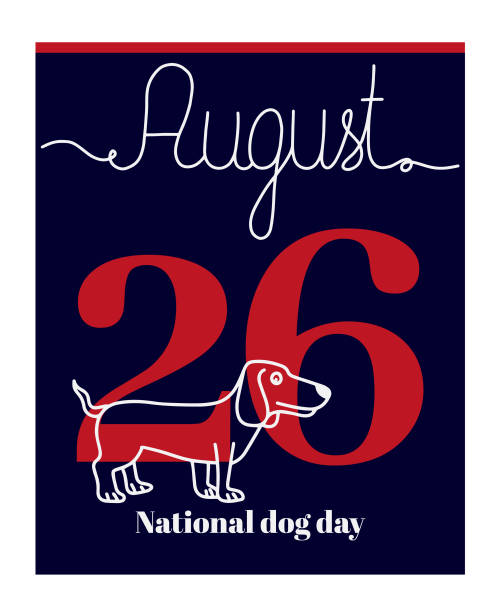 Calendar sheet, vector illustration on the theme of National dog day on August 26. Decorated with a handwritten inscription AUGUST and outline dog. national dog day stock illustrations
